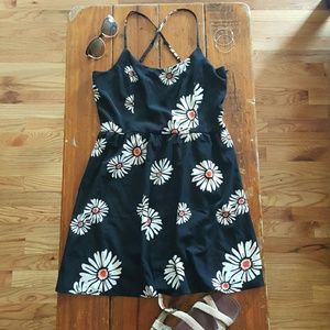Aina Be Francesca's Brand Daisy Dress